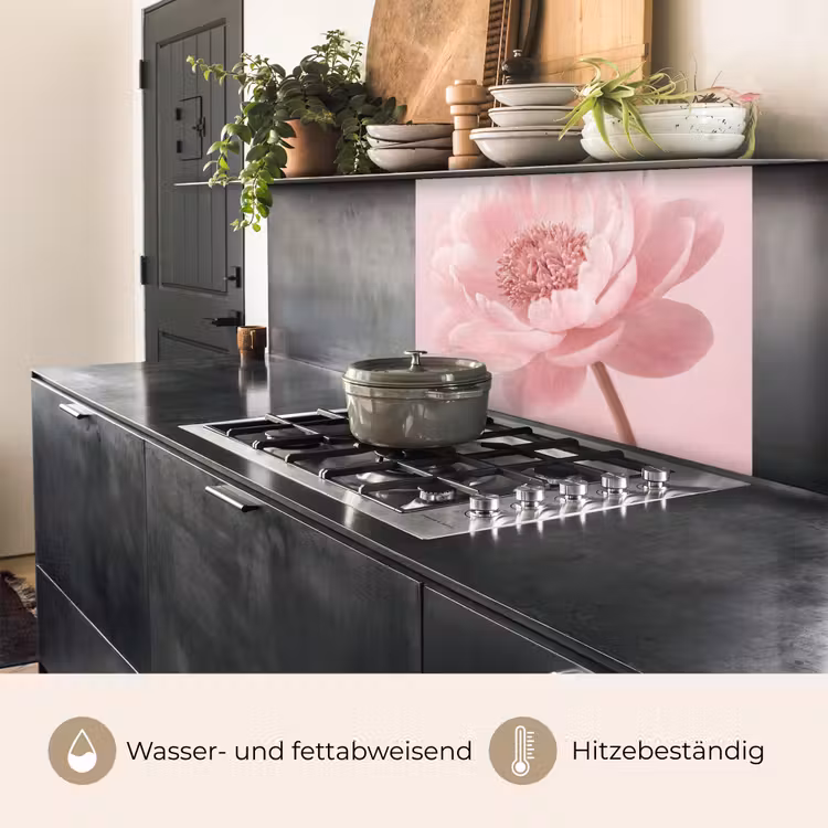 Küchenrückwand - Blume - Pfingstrose - Rosa — 4
