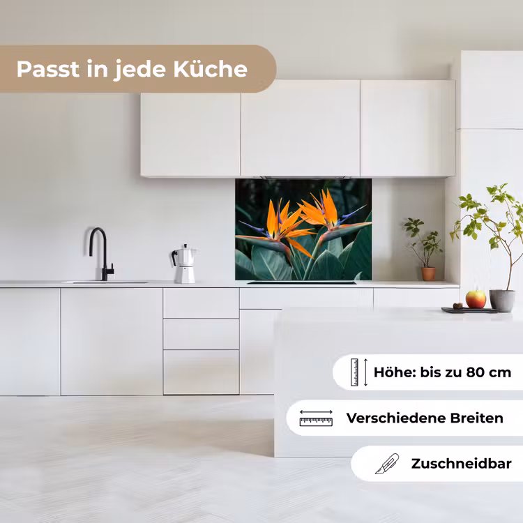 Küchenrückwand - Paradiesvogel - Blume - Exotisch — 6