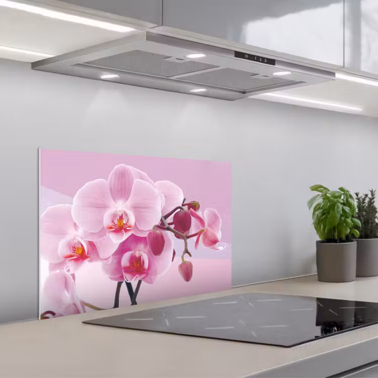 Spritzschutz Küche - Blumen - Orchidee - Rosa — 1