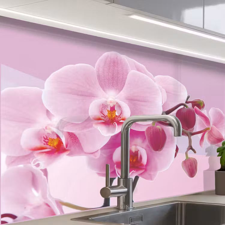 Küchen rückwand - Blumen - Orchidee - Rosa — 1