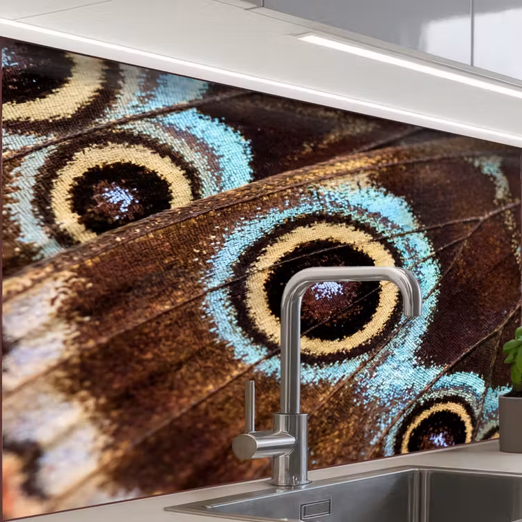 Küchen rückwand - Flügel - Schmetterling - Blau — 1