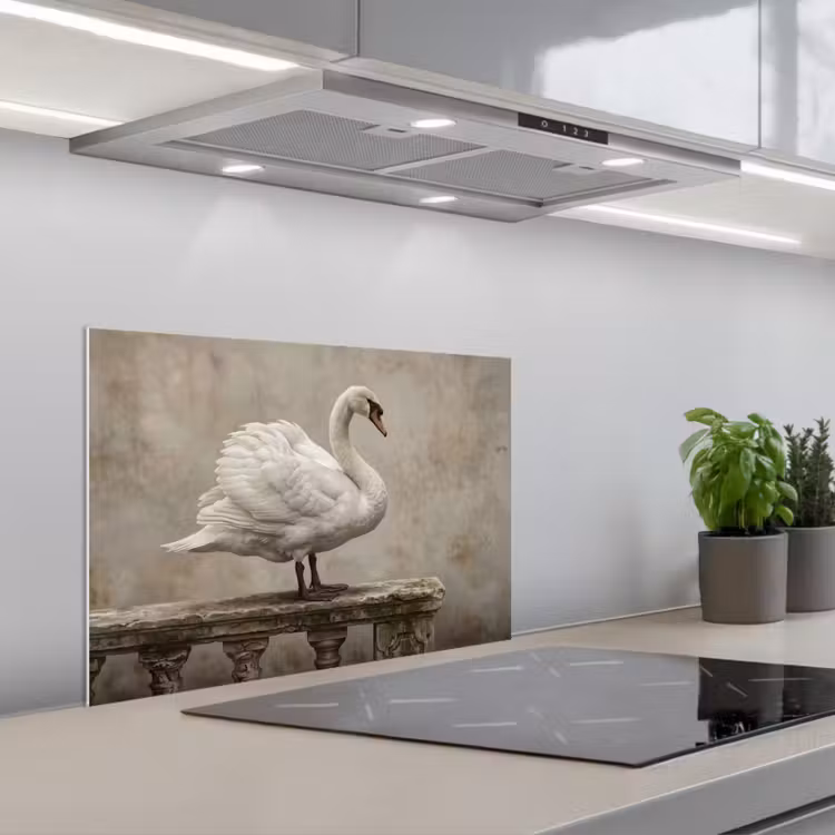 Spritzschutz Küche - Schwan - Elegant - Tiere - Weiß — 1