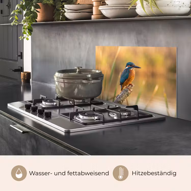 Spritzschutz Küche - Eisvogel - Zweig - Wasser - Bunt - Lebendig — 2