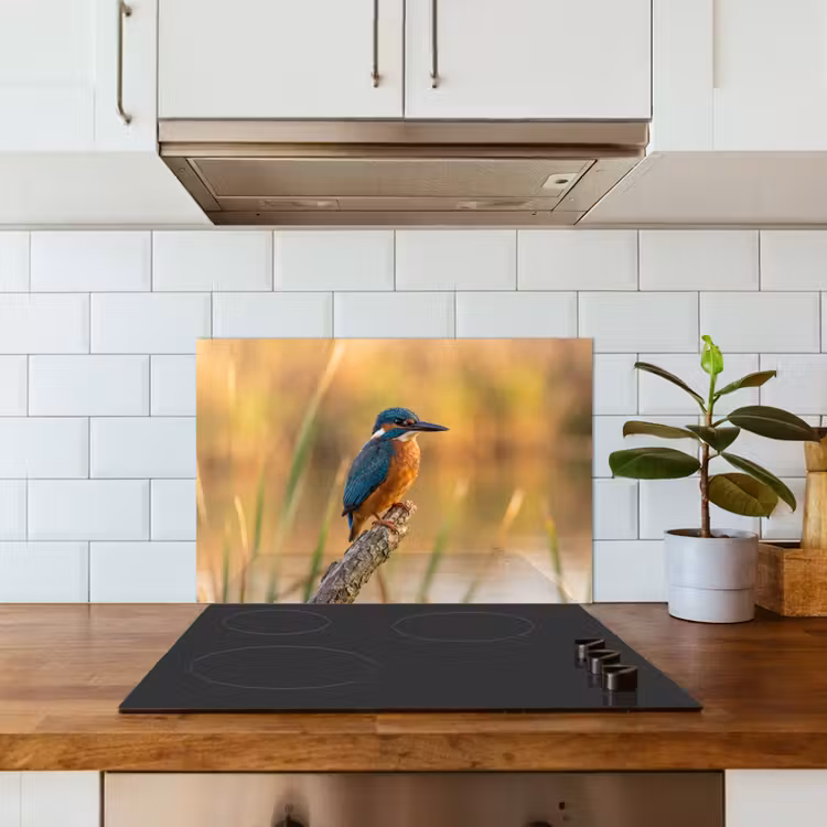 Spritzschutz Küche - Eisvogel - Zweig - Wasser - Bunt - Lebendig — 3