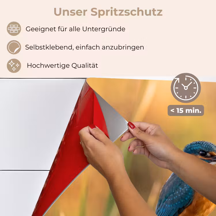 Spritzschutz Küche - Eisvogel - Zweig - Wasser - Bunt - Lebendig — 4