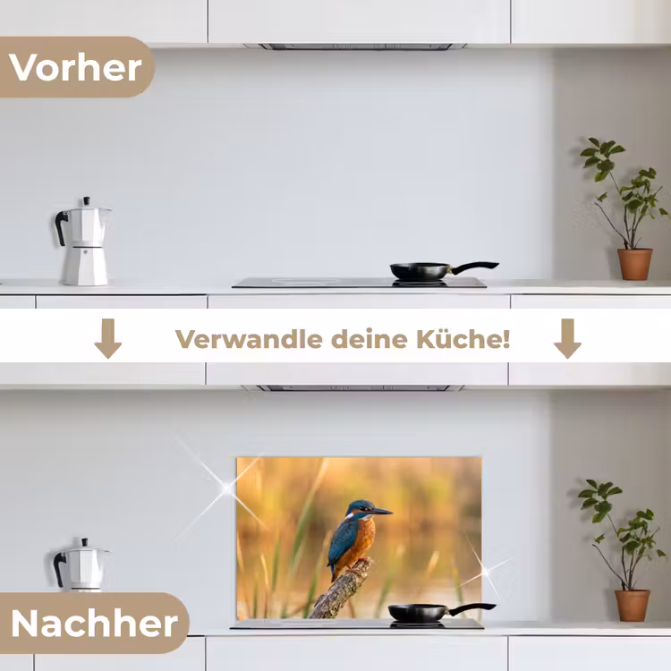 Spritzschutz Küche - Eisvogel - Zweig - Wasser - Bunt - Lebendig — 7