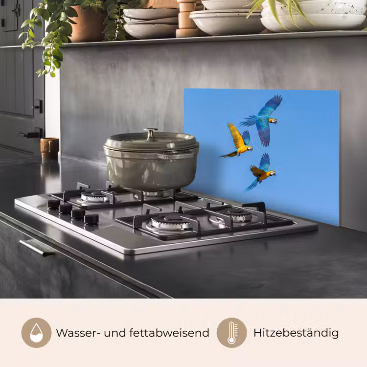 Spritzschutz Küche - Papagei - Fliegen - Blau - Gelb — 2