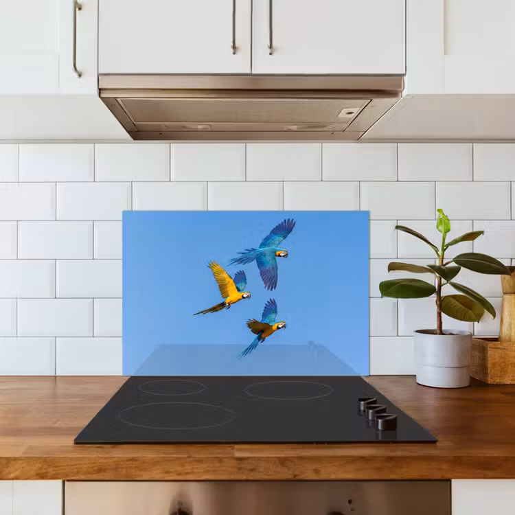 Spritzschutz Küche - Papagei - Fliegen - Blau - Gelb — 3