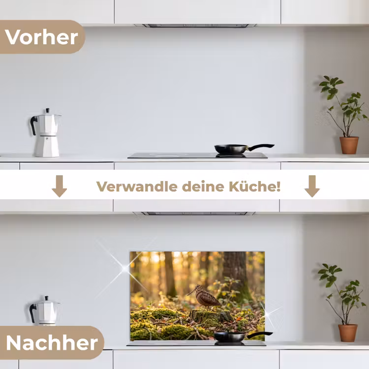 Spritzschutz Küche - Waldschnepfe - Wald - Laub - Herbst - Getarnt — 7