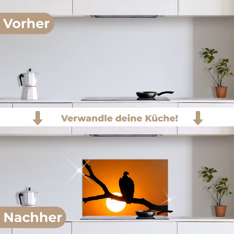 Spritzschutz Küche - Geier - Zweig - Sonne - Orange — 7