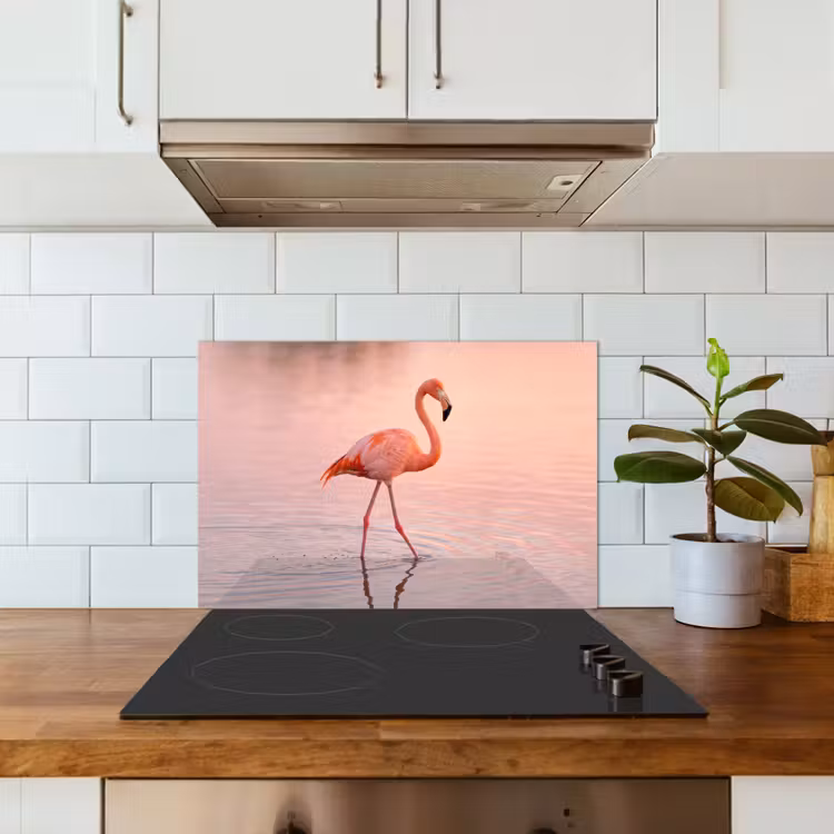 Spritzschutz Küche - Flamingo - Wasser - Rosa — 3