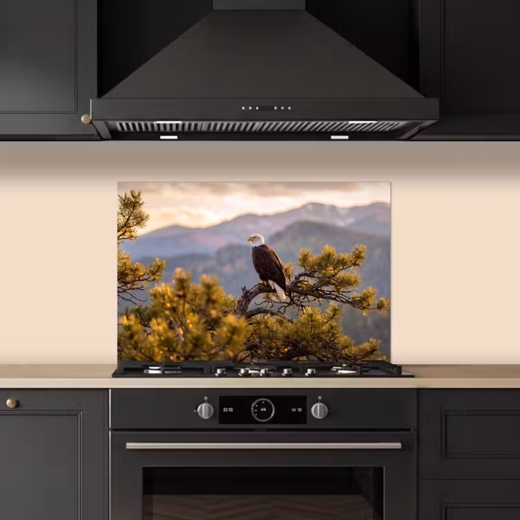 Spritzschutz Küche - Weißkopfseeadler - Baum - Berg - Grün — 5