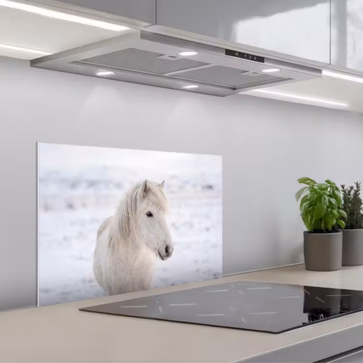 Spritzschutz Küche - Pferd - Kopf - Winter - Tiere - Weiß — 1