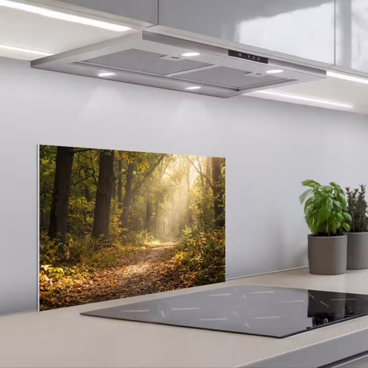 Spritzschutz Küche - Sonnenlicht - Waldweg - Bäume — 1