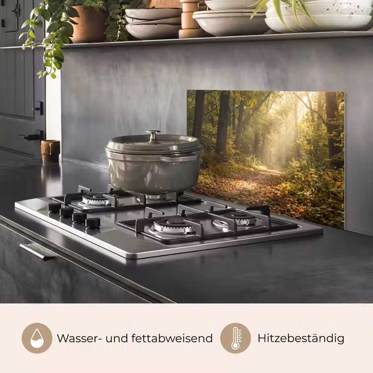 Spritzschutz Küche - Sonnenlicht - Waldweg - Bäume — 2