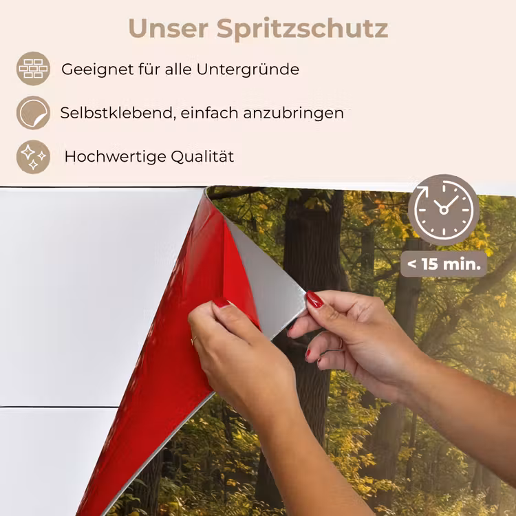 Spritzschutz Küche - Sonnenlicht - Waldweg - Bäume — 4