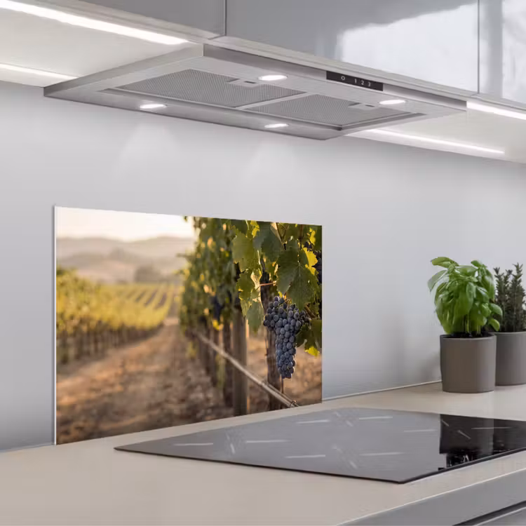 Spritzschutz Küche - Trauben - Weinberg - Sonnenlicht — 1