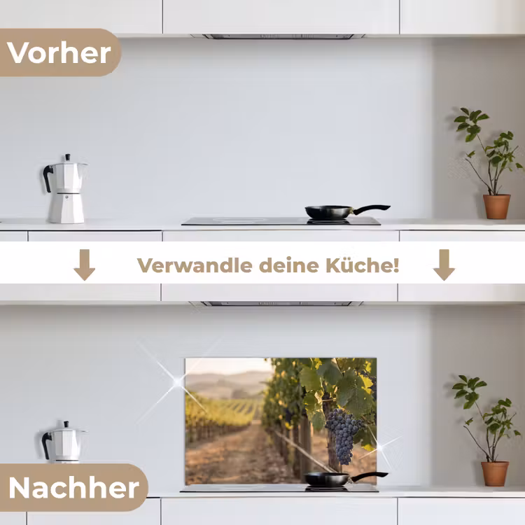Spritzschutz Küche - Trauben - Weinberg - Sonnenlicht — 7