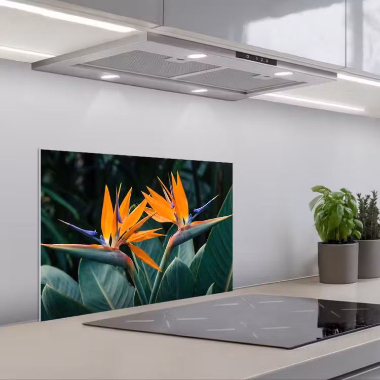 Spritzschutz Küche - Paradiesvogel - Blume - Exotisch — 1