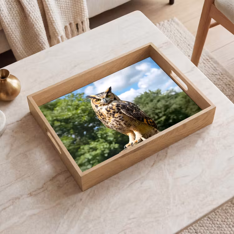 Tablett - Eule - Baumstamm - Wald - Himmel — 2