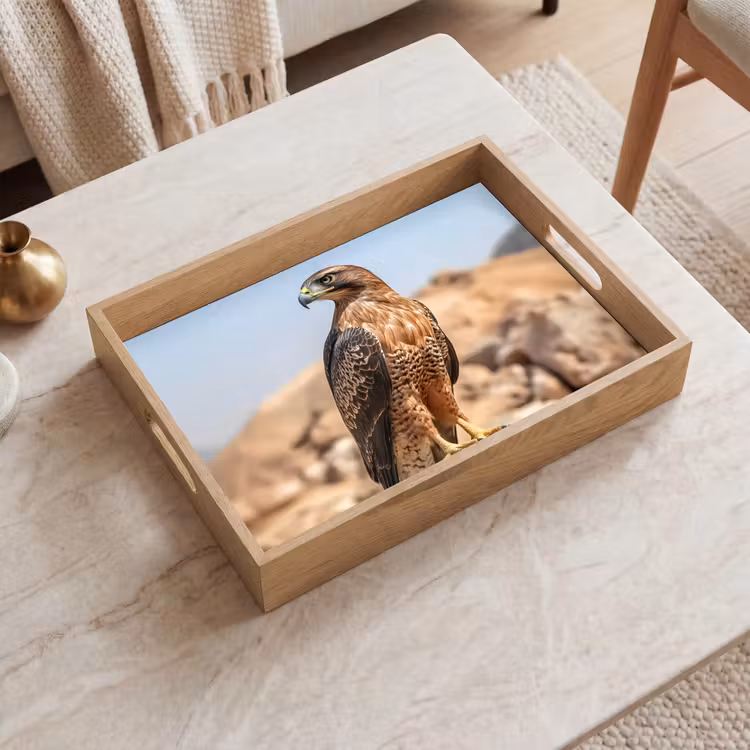 Tablett - Falke - Vogel - Fels - Macht — 2