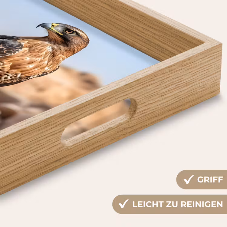 Tablett - Falke - Vogel - Fels - Macht — 8