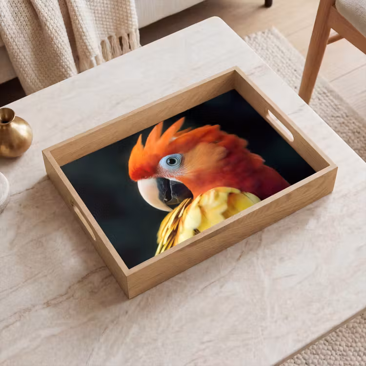 Tablett - Nahaufnahme - Papagei - Federn - Orange — 2