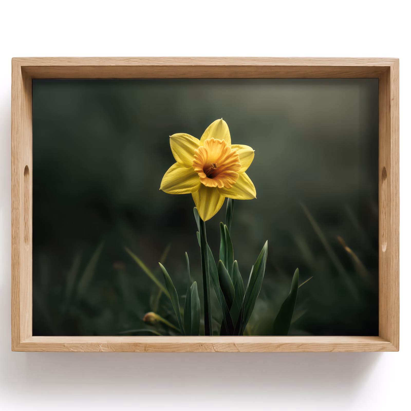 Tablett - Blume - Narzisse - Gras - Gelb — 1