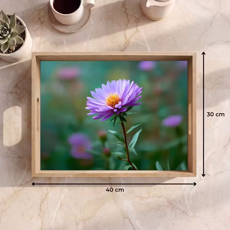 Tablett - Aster - Lila - Blume - Blütenblätter — 7