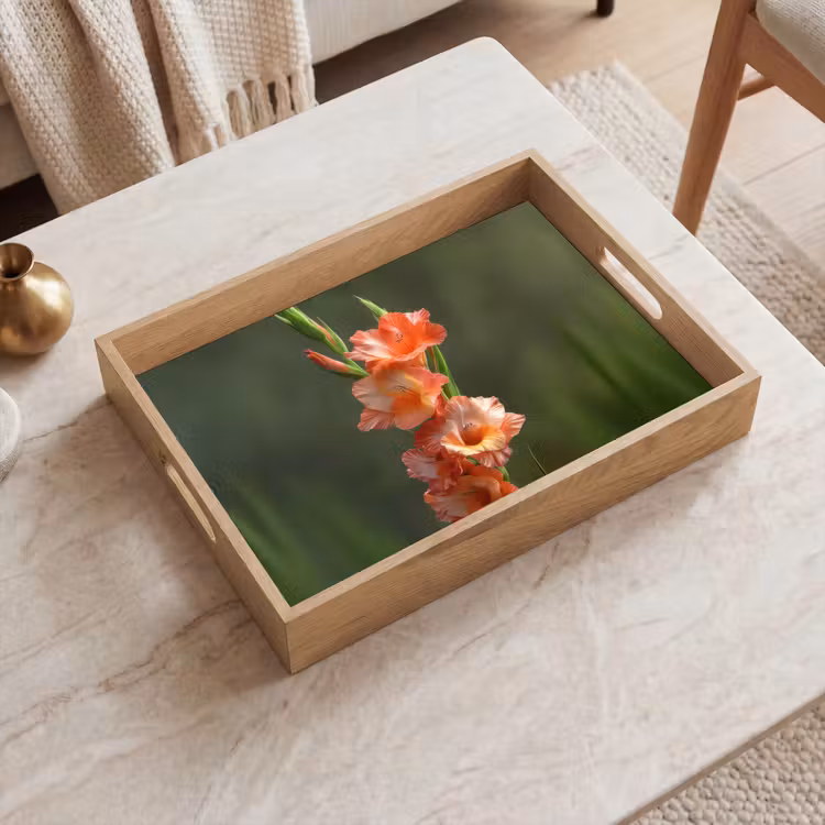 Tablett - Blume - Gladiolen - Lachsrosa — 2