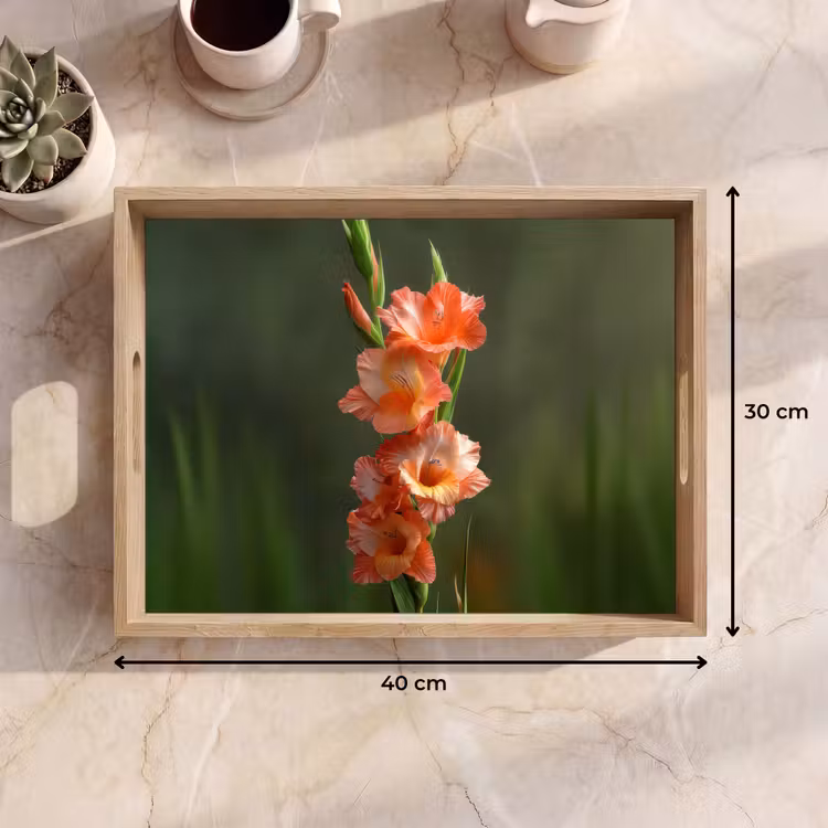 Tablett - Blume - Gladiolen - Lachsrosa — 7