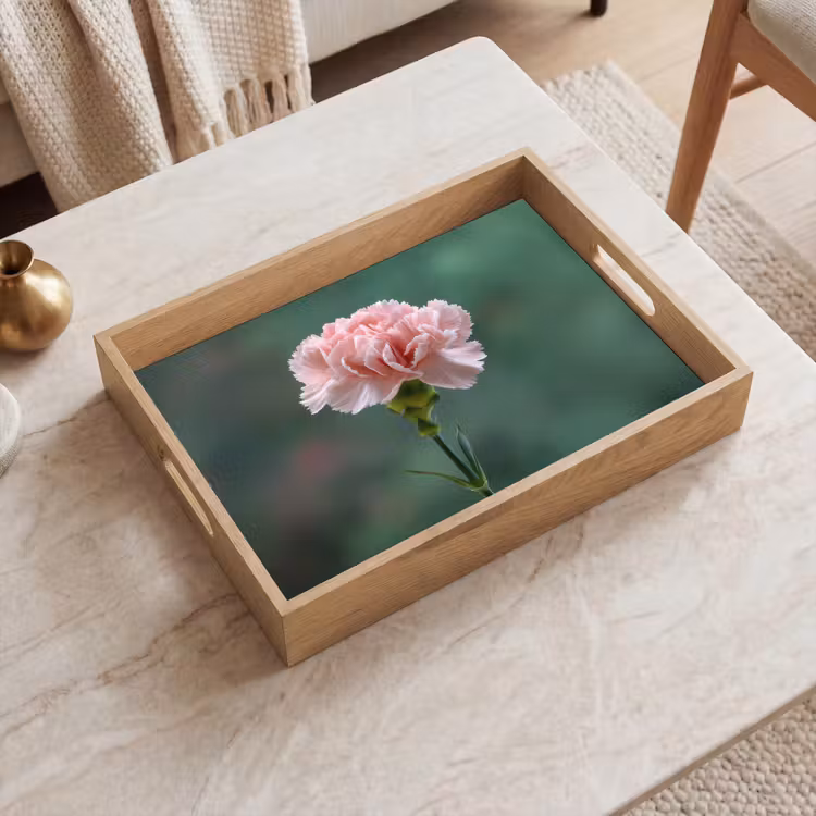 Tablett - Nelke - Rosa - Blütenblätter — 2