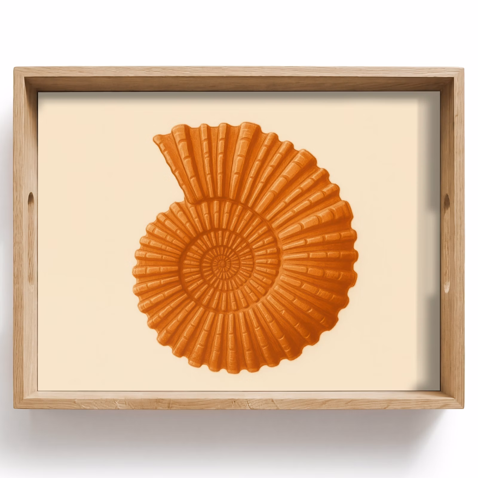 Tablett - Muschel - Orange - Gerippt — 1