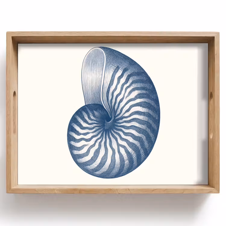 Tablett - Blau - Muschel - Spirale — 1