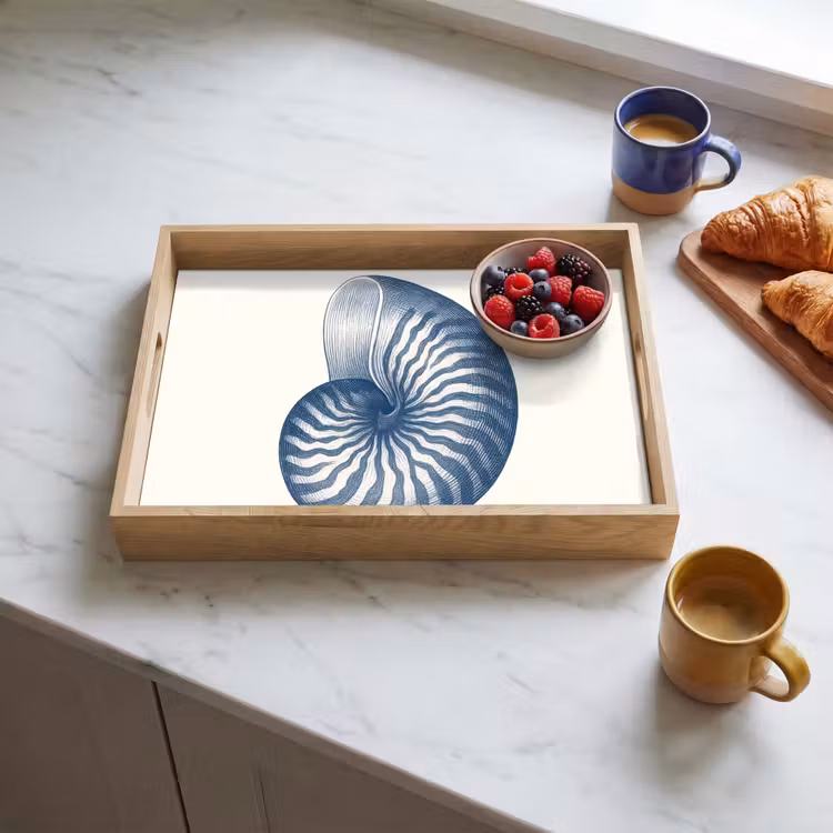 Tablett - Blau - Muschel - Spirale — 3