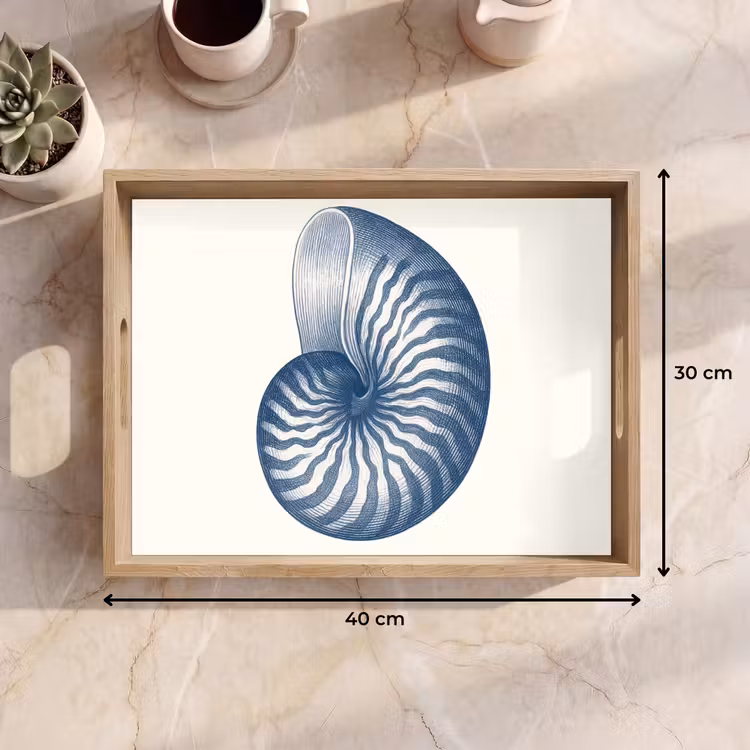 Tablett - Blau - Muschel - Spirale — 7