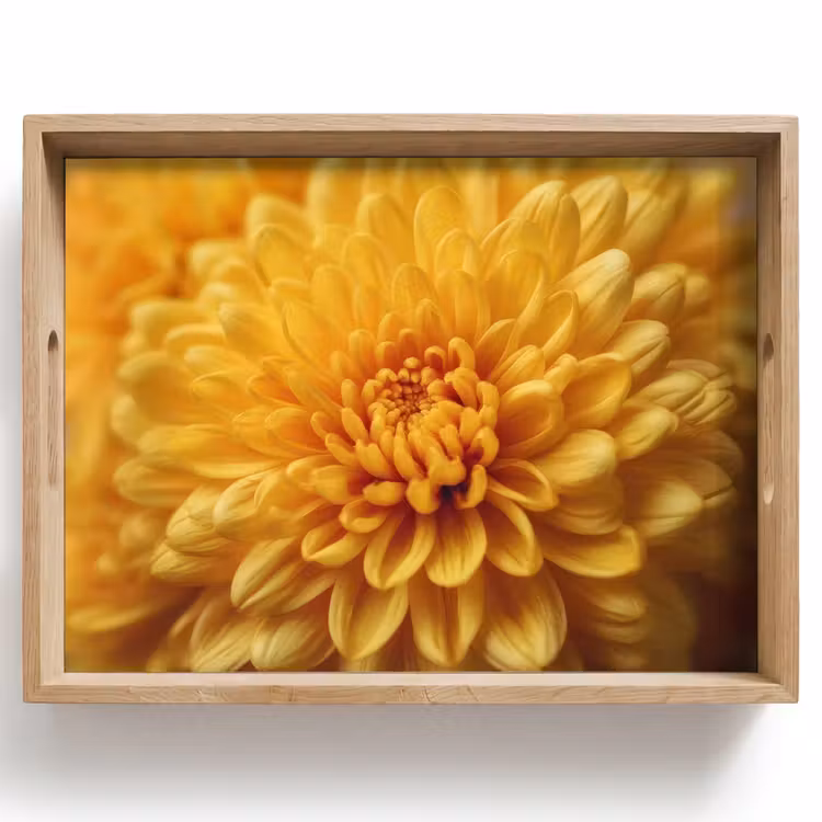 Tablett - Gelb - Chrysantheme - Sanftheit — 1