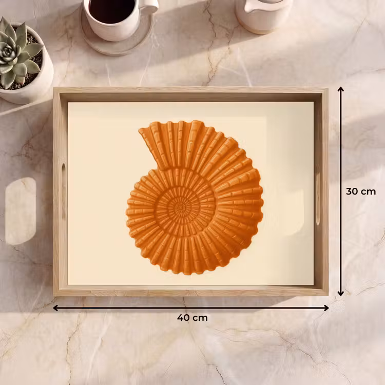 Tablett - Muschel - Orange - Gerippt — 7