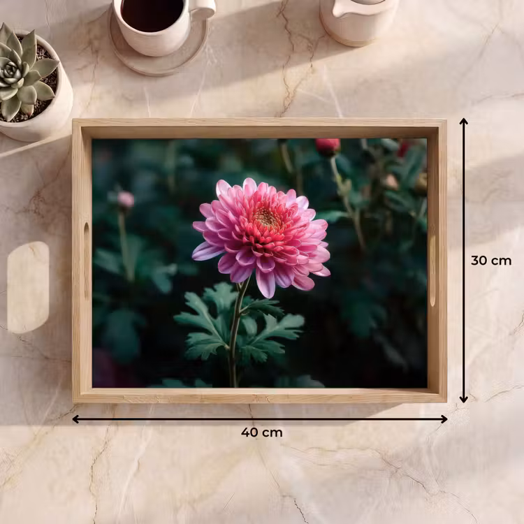 Tablett - Blatt - Chrysantheme - Rosa - Schatten — 7