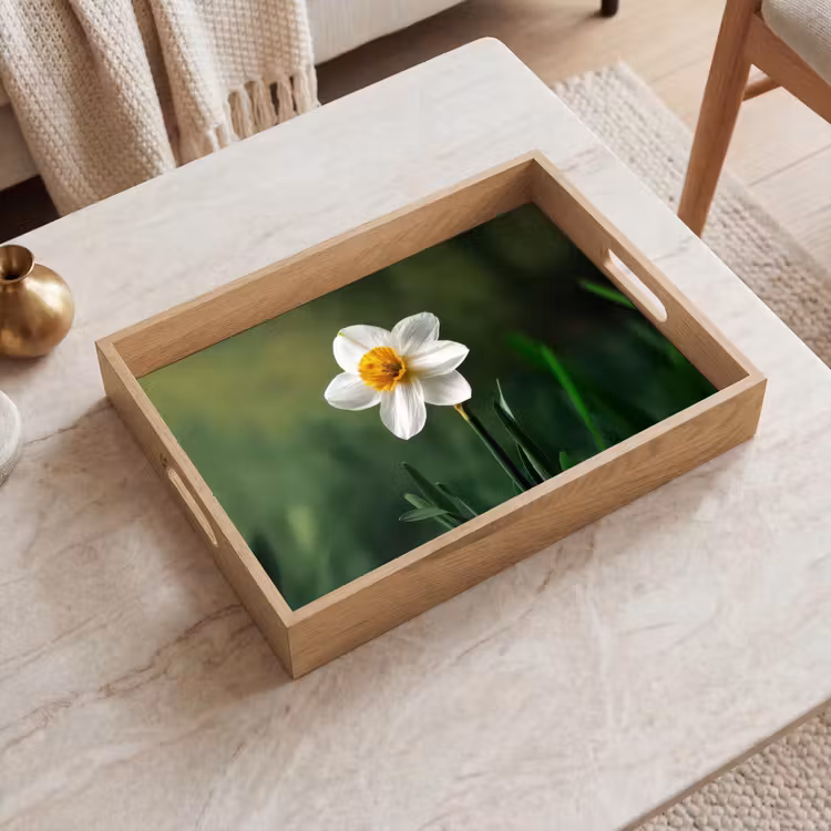 Tablett - Narzisse - Blume - Weiß - Grashalme — 2