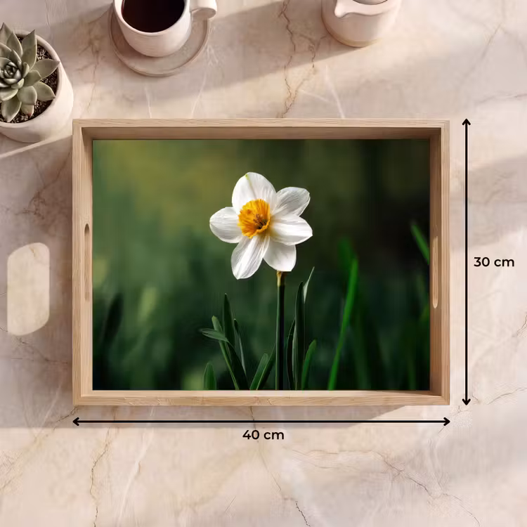Tablett - Narzisse - Blume - Weiß - Grashalme — 7