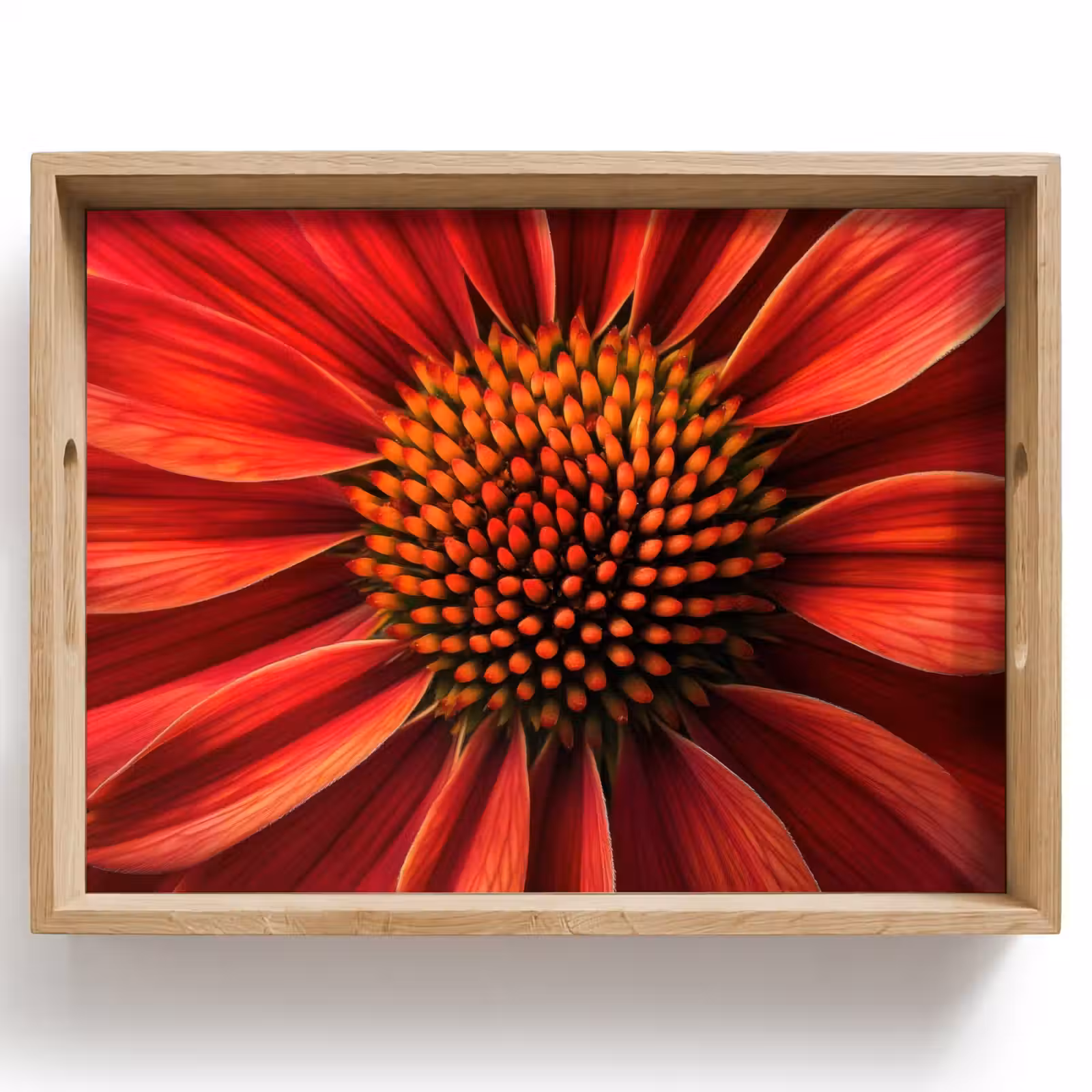 Tablett - Nahaufnahme - Blume - Rot — 1