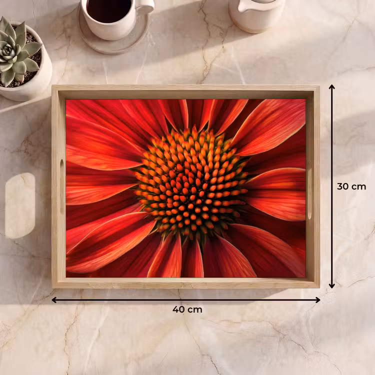 Tablett - Nahaufnahme - Blume - Rot — 7