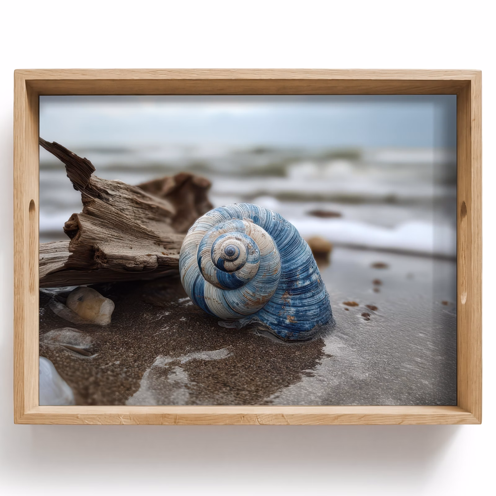 Tablett - Muschel - Strand - Blau - Meer — 1