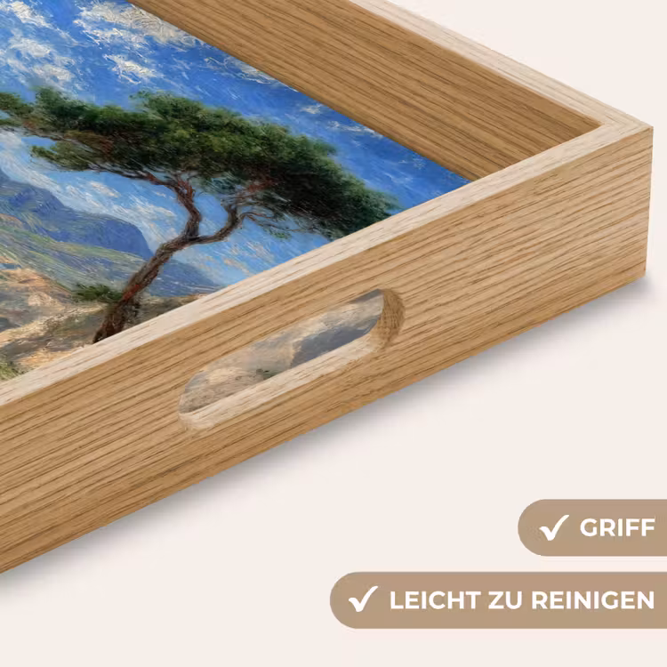 Tablett - Felsen - Küstenlinie - Baum - Berge — 8