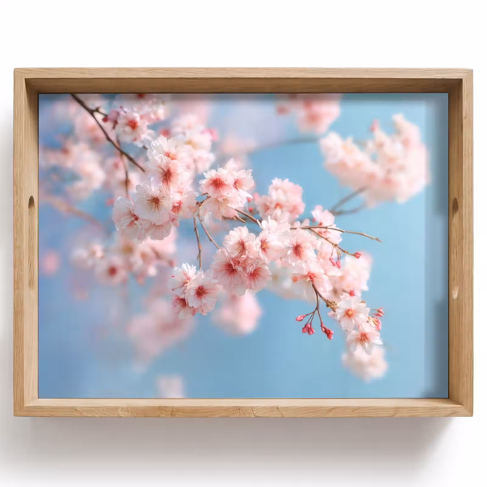 Tablett - Äste - Blüten - Rosa — 1