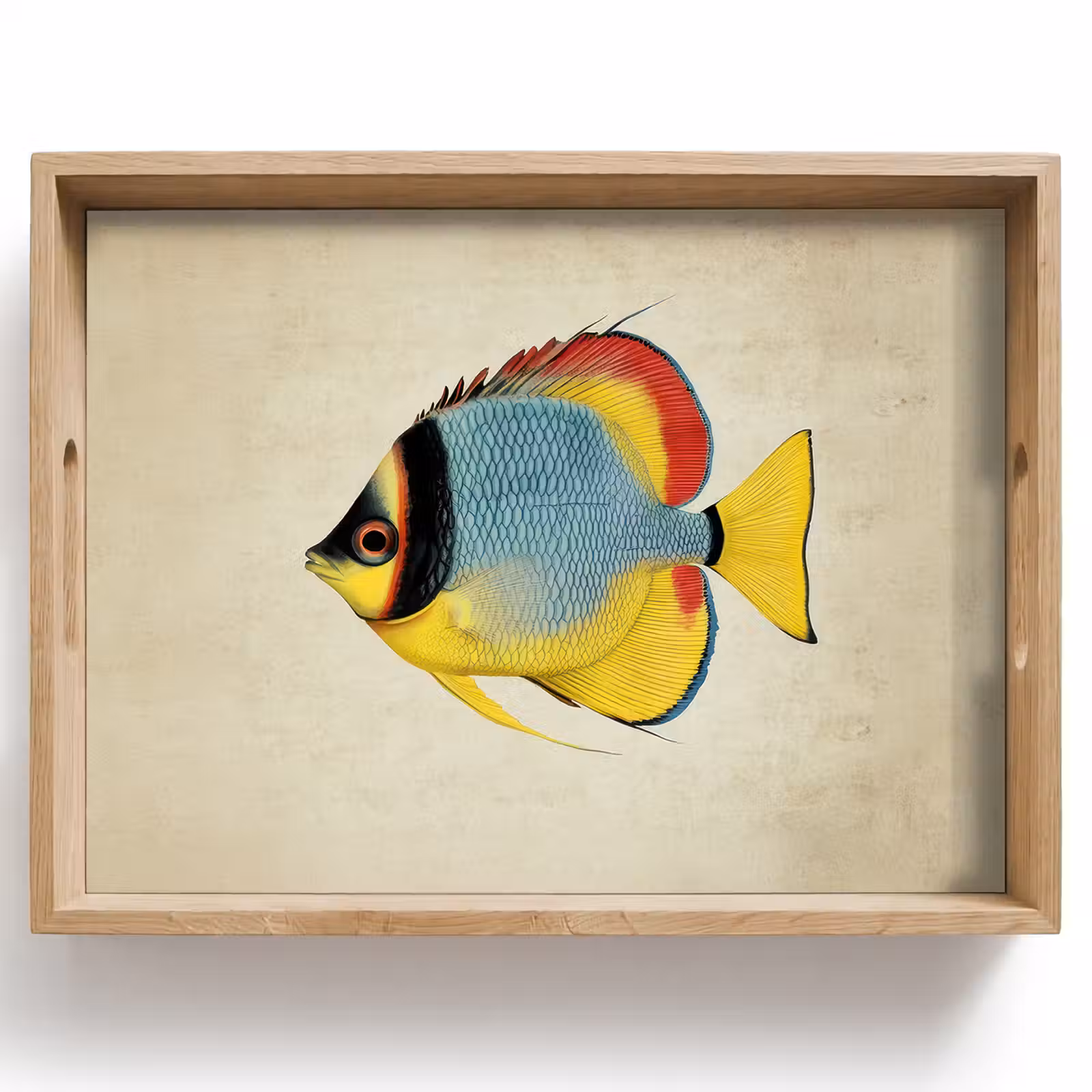 Tablett - Bunt - Fisch - Schuppen - Illustration — 1