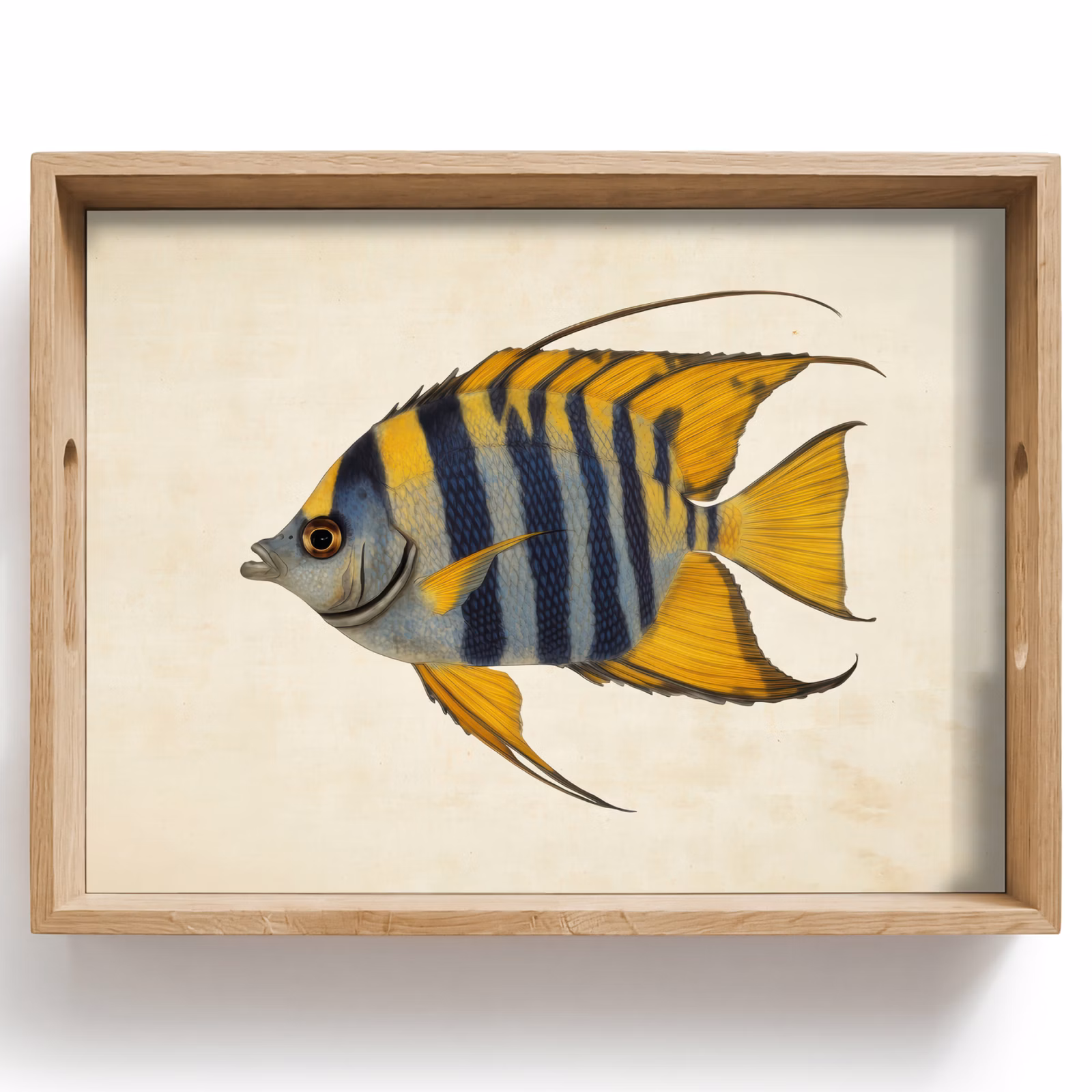 Tablett - Fische - Dekorativ - Flossen - Illustration — 1
