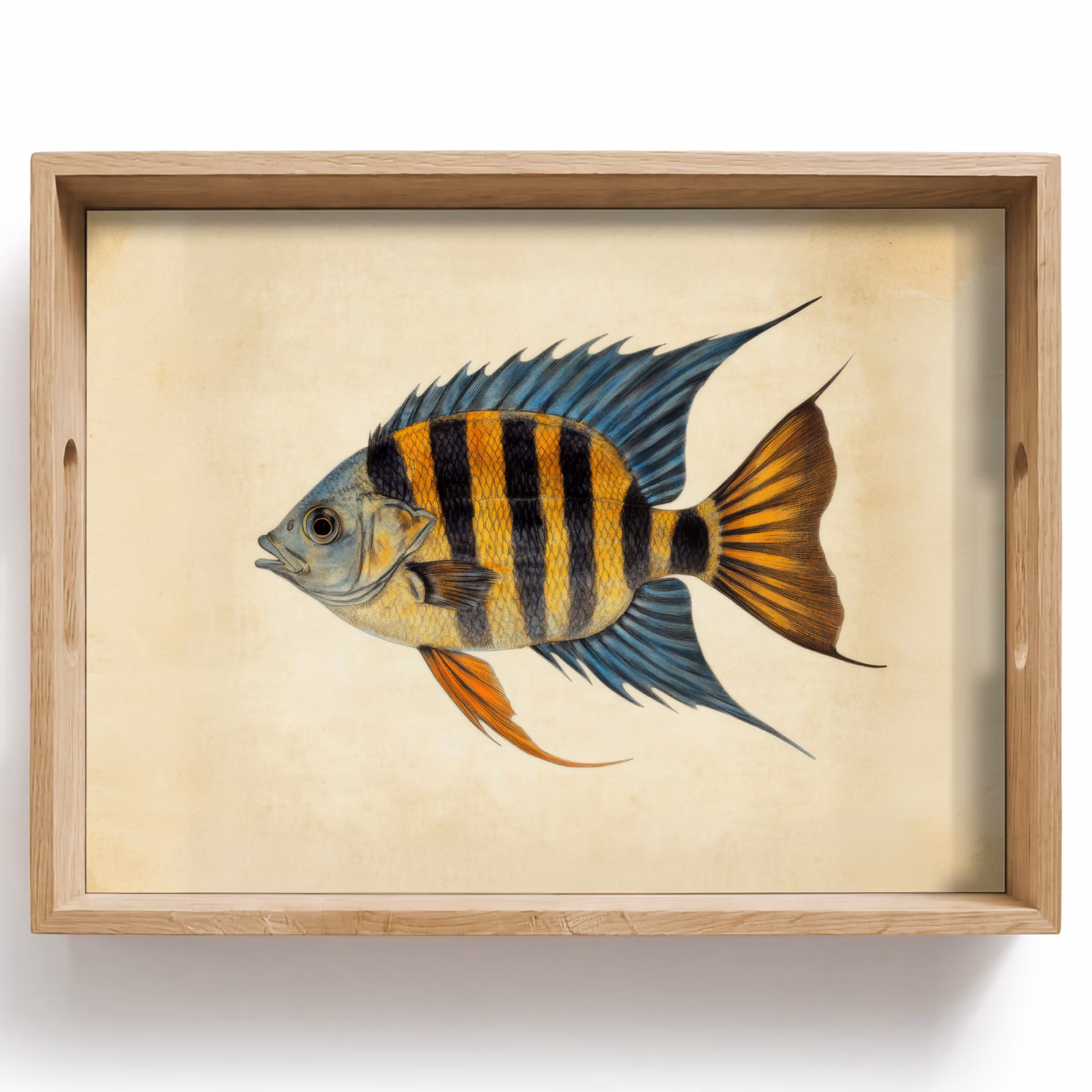 Tablett - Fische - Tropisch - Streifen - Flossen — 1