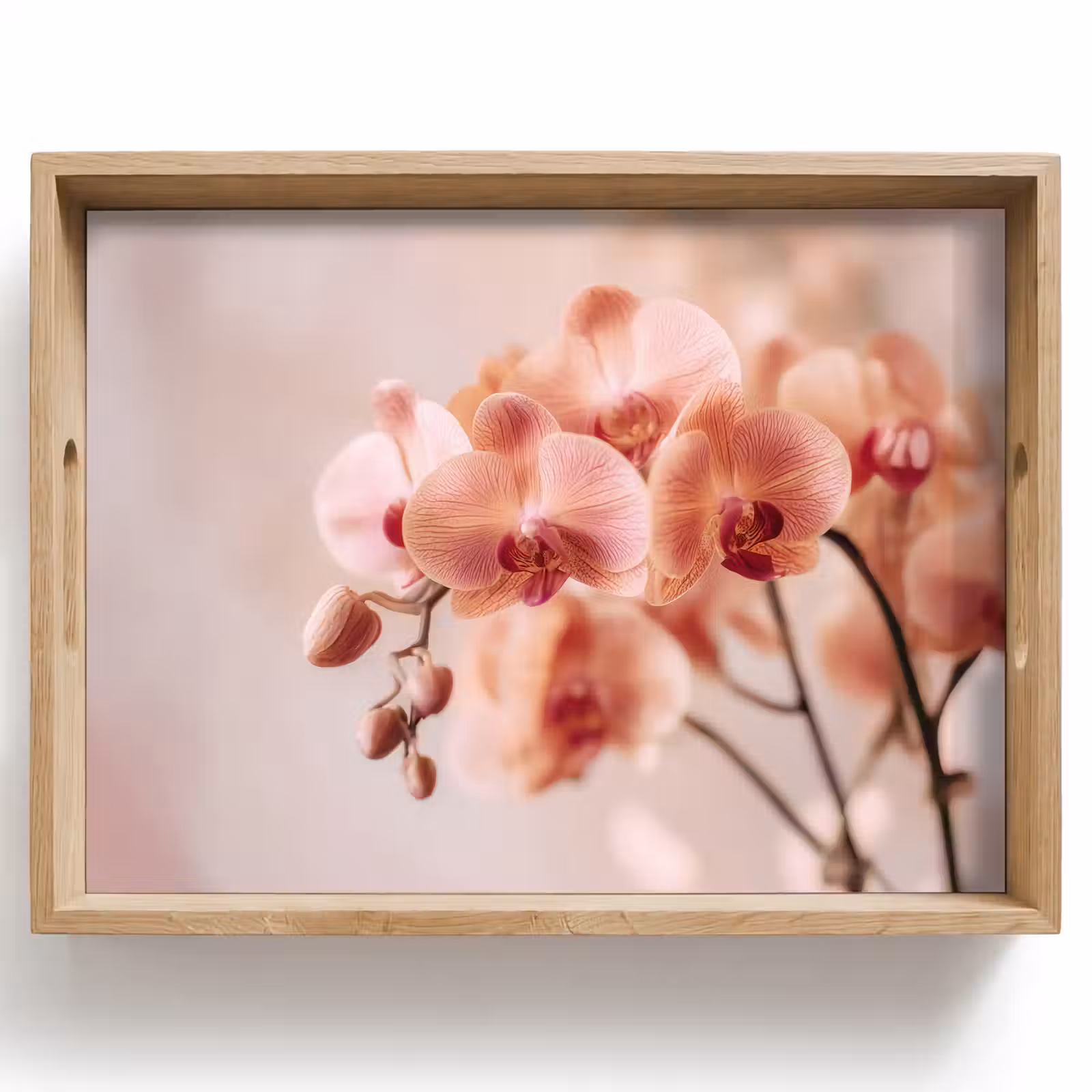 Tablett - Orchidee - Blumen - Rosa - Blütenblätter — 1